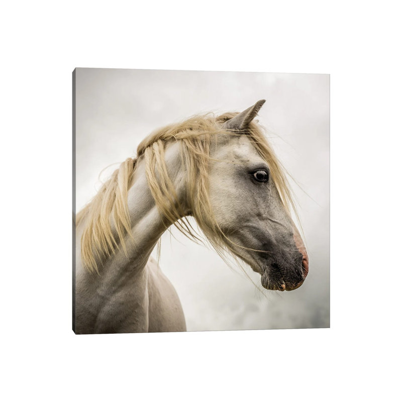 Wild Horse by Mark Gemmell - Wrapped Canvas Print, 30.48 cm H x 30.48 cm W