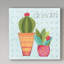 « sud-ouest-cactus iv », art sur toile-31873232