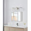 Éclairage pour meuble-lavabo à 1 lumière en nickel brossé 1 lumière Dungannon avec abat-jour en verre côtelé Opal-1108704695-1108704697
