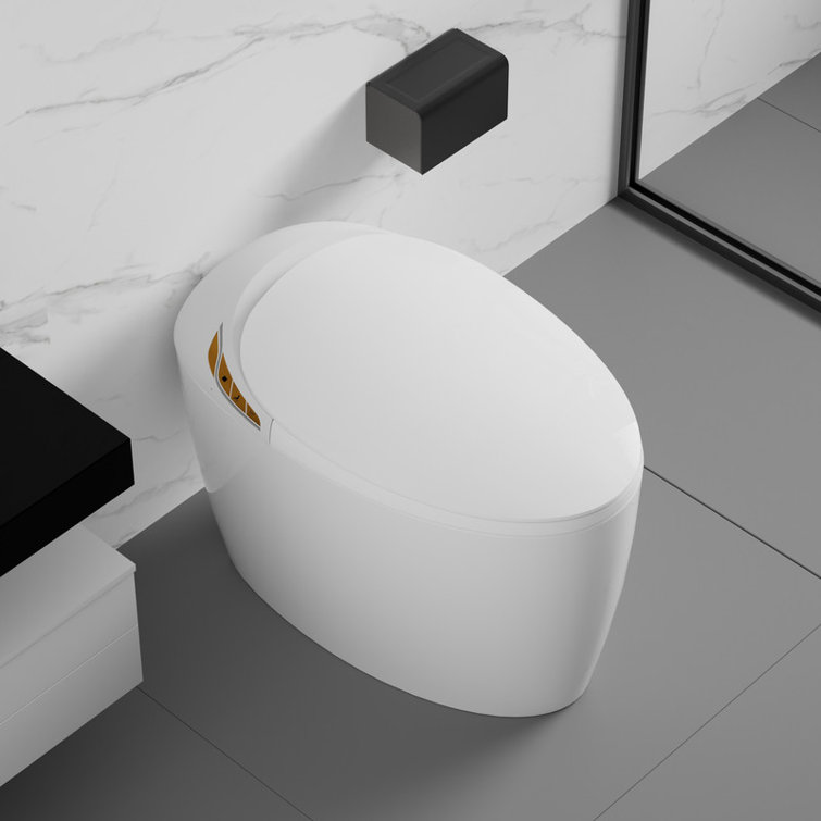 Smart Toilet with Bidet Built In, Intelligent One Piece Toilet , Auto Open/Close Seat Foot Sensor