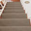 Tapis d'escalier (ensemble de 13)