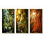 Bamboo Sunset Photography-2013754224-2013754229