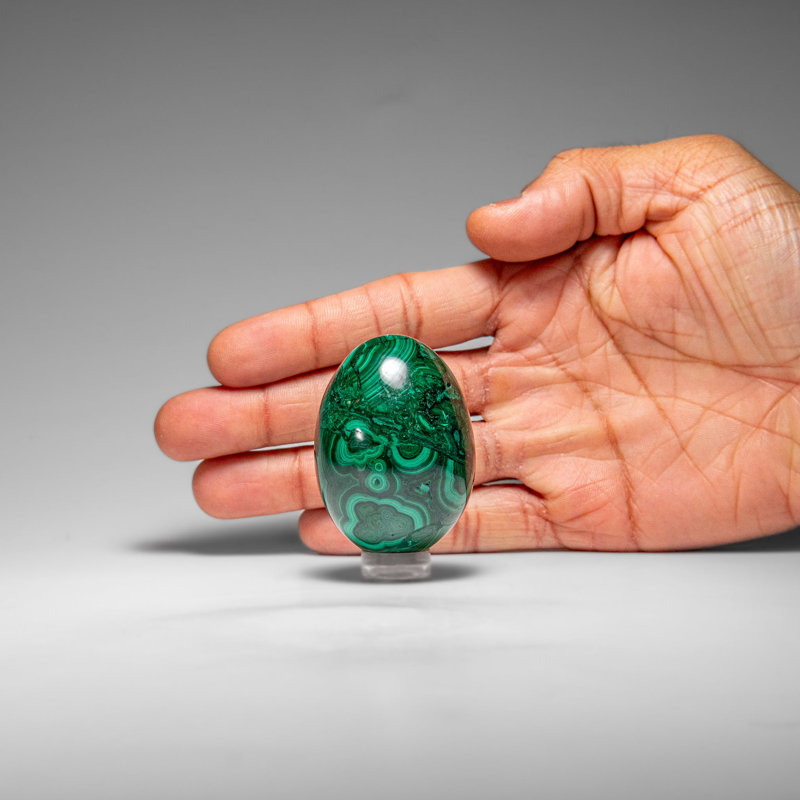Genuine Polished Malachite Egg (154.9 Grams)