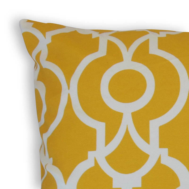 Coussin décoratif intérieur / extérieur Raimo, Hauteur (20 po) x largeur (20 po), Agrume