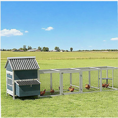 Poulailler pour 10 à 15 poulets