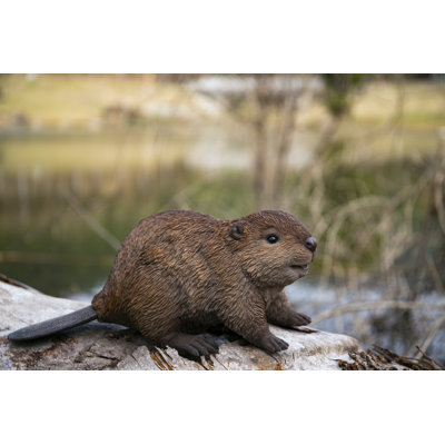AMERICAN BEAVER CUB STATUE