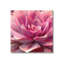 «Pink Succulent Leaves On Canvas» par Amy Hall, peinture-1005669280-1005669283