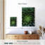 Plante grasse Harnek-108226315