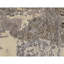 Hand Knotted Area Rug in Grey