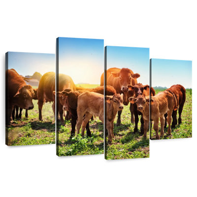Brampt broutant des vaches