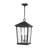 Bourke 3 - Light Outdoor Hanging Lantern-1123965487
