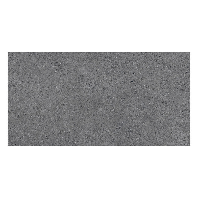 Spanish Silis 12"x 24" Matte Terrazzo Look Porcelain Floor and Wall Tile (5 PCS, 10.76 sq. ft./Case), Black