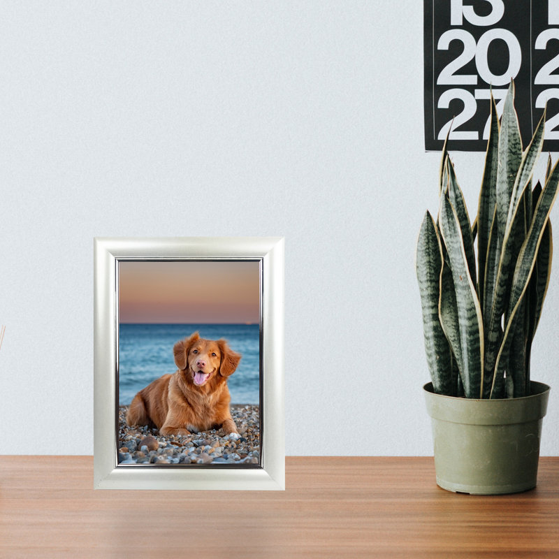 Ensemble de cadres photo en plastique, Perle blanche, 5 po x 7 po