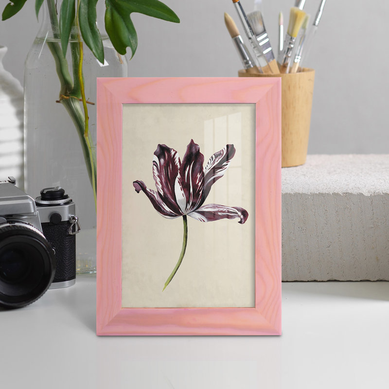 Étude de tulipes antiques IV - reproduction de cadre photo unique, H 8 po x l 6 po x P 1 po, Rose