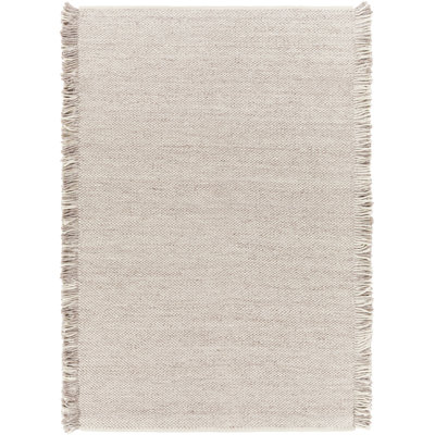 Hinton tissé à la main et recyclé P.E.T. Tapis intérieur / extérieur taupe / crème