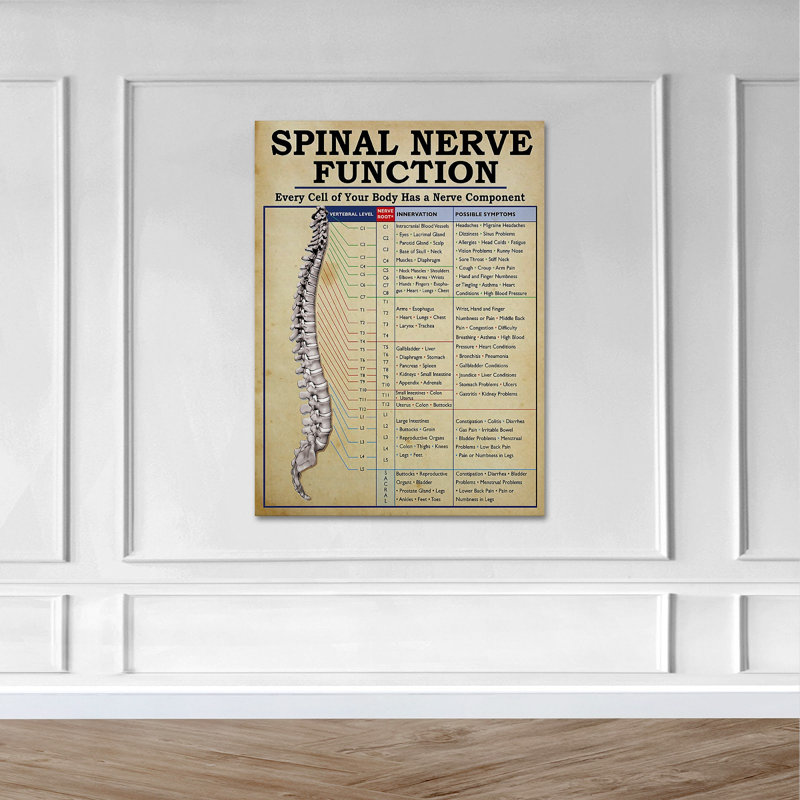 Spinal Nerve Function Analysis - Spianl Nerve Function - 1 Piece Rectangle Graphic Art Print On Wrapped Canvas
