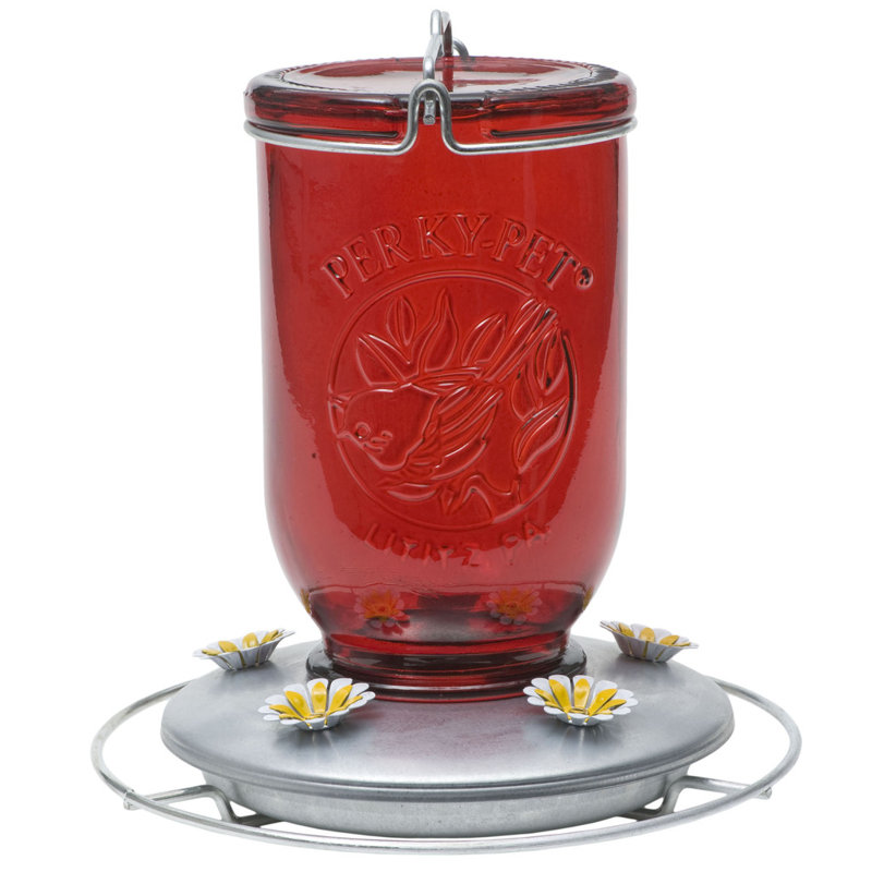 Mason Glass Hanging Hummingbird Feeder