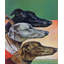 «Greyhound» par Paul Bransom, reproduction sur toile tendue-15880665