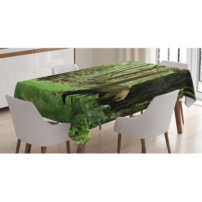 Tablecloth