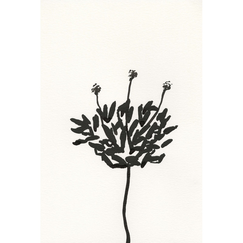Encre, croquis botanique III, H 18 po x l 12 po x P 1,25 po
