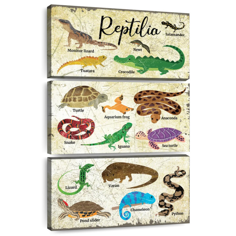 Tableau des espèces de reptiles Brampt