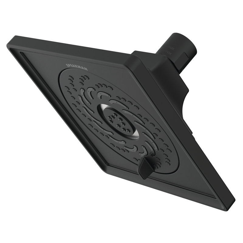 Rainier Exhilaration Multi Function Adjustable Shower Head, Matte Black