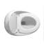 Ceramic One Piece Toilet, Single Flush 1.28 GPF Compact Egg Shape Toilet, Soft-Close Seat,Glossy White