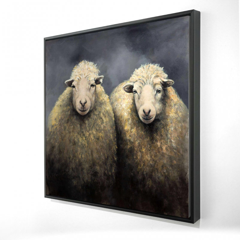 " Wool Sheeps "