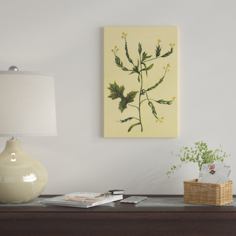 «Hedge Mustard», reproduction sur toile, H 26 po x l 18 po x P 1,5 po, Toile tendue, Pas de tapis