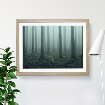 A Captivating Forest - Framed Print