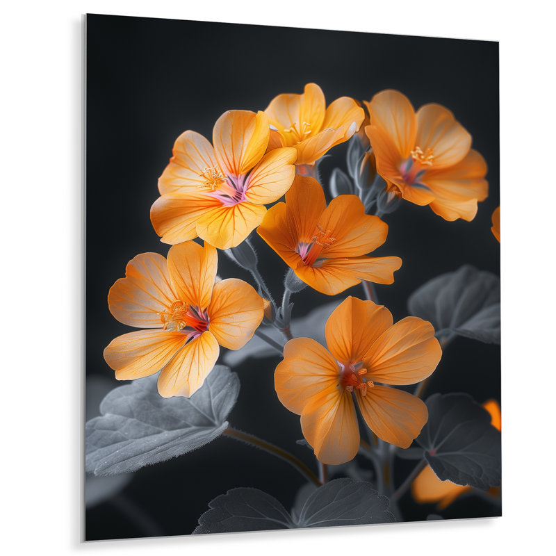 Salon d'art mural Gerardi - Geraniums, H 30 po x l 40 po, Sans cadre, métal