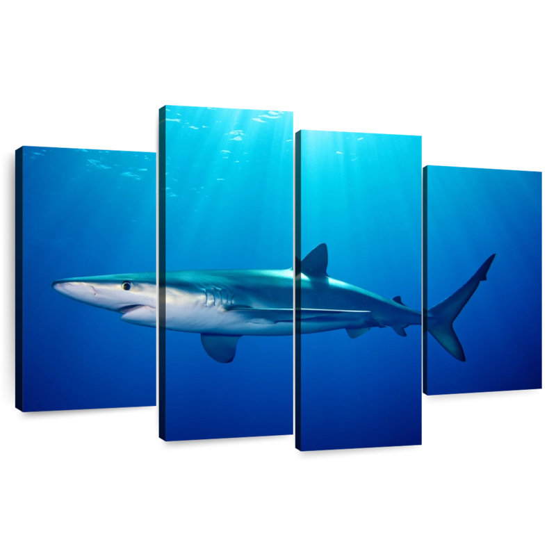 Brampt Blue Shark In Gordon's Bay, 42" H x 68" W