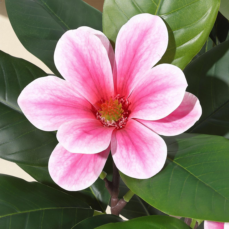  Figuier artificiel figuier avec fleurs de magnolia Real Touch, Pink, 72" H x 23.6" W