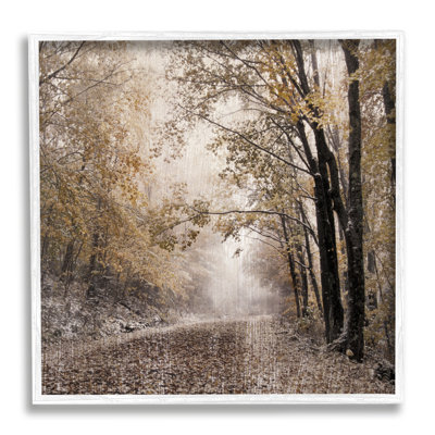 " Sunlit Woodland Nature Trail " by Danita Delimont