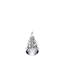 Five-Sided Evergreen-130427529