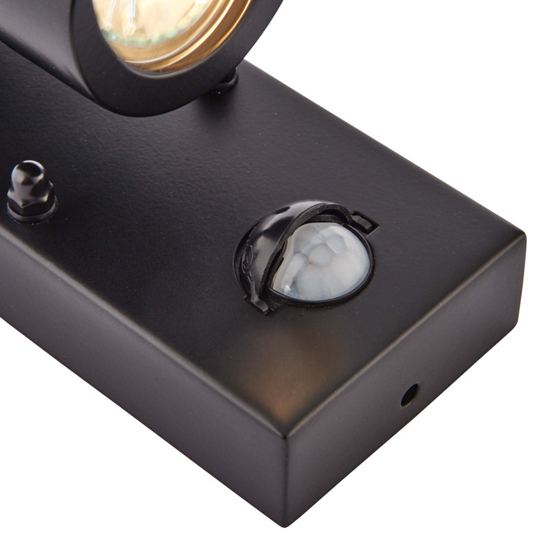 Metcalfe 2 - Bulb 21cm H Outdoor Armed Sconce, Black