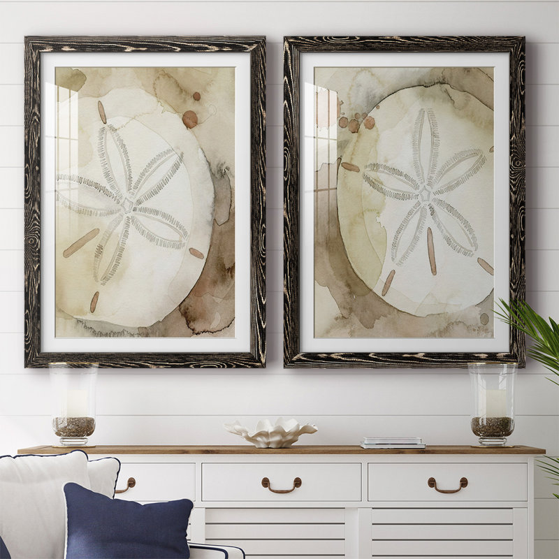 «Dry Sand Dollar I», reproduction encadrée de qualité supérieure - prête à être suspendue, Noir