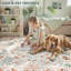 Tapis lavable Goldene-1901075256