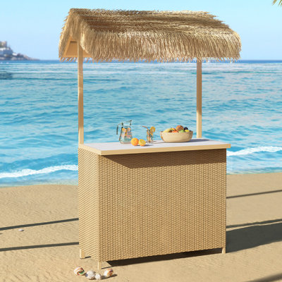 Brighi Bar Counter with Wicker Outer Material by Bay Isle Home