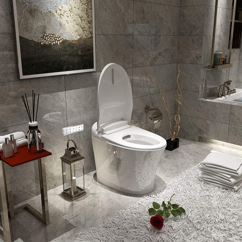Toilette bidet allongée à double chasse