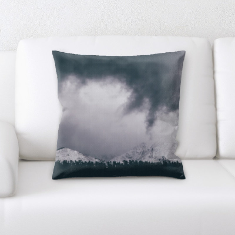 Weinberger Microsuede Throw Pillow