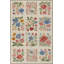 Solari Floral Indoor/Outdoor Rug-605667705