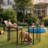 32" Tall 8 Panels Heavy Duty Dog Playpen