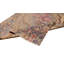 Oriental Area Rug in Beige