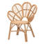 Akam Rattan Accent Chair