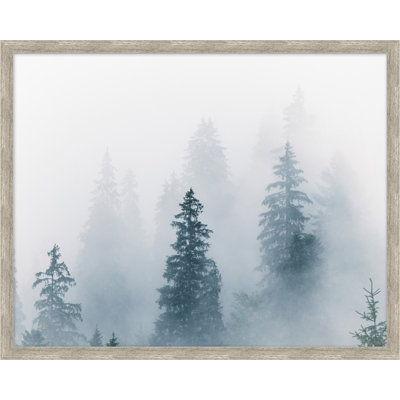 Misty Morning Hike 4 Print