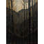 Charred Gold