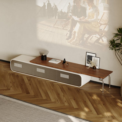 Modern minimalist extendable TV cabinet