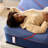 Sealy Posturepedic® Elite High Point II 14" Firm Tight Top Hybrid Mattress-113671966