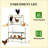 Chicken Coop